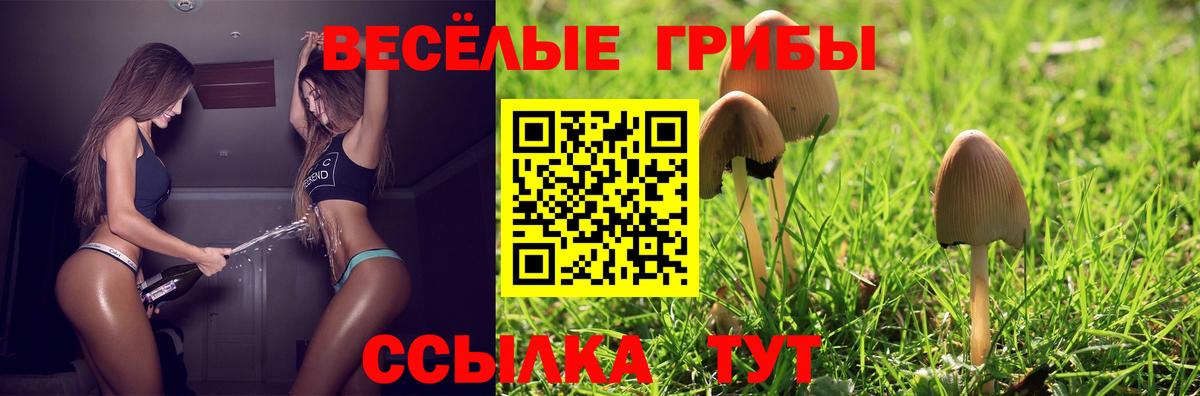 Мефедрон   Кокаин  Канабис  Alpha PVP СОЛЬ кристаллы  ГАШ  Экстази  Сосновоборск  Вход с VPN 