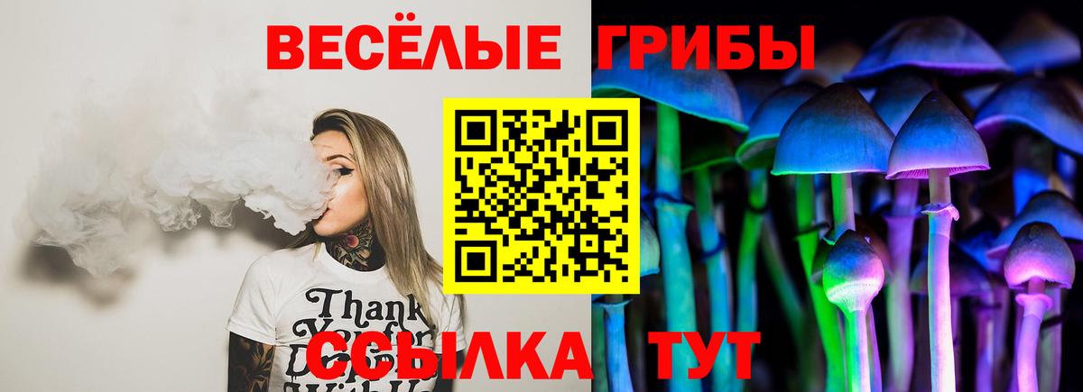 наркотики  Псилоцибиновые грибы Psilocybine cubensis  Псилоцибиновые грибы Psilocybine cubensis  Вход с VPN  Сосновоборск 