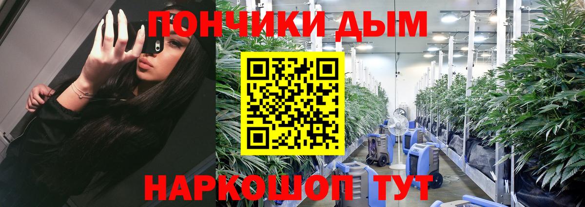 Конопля OG Kush Сосновоборск